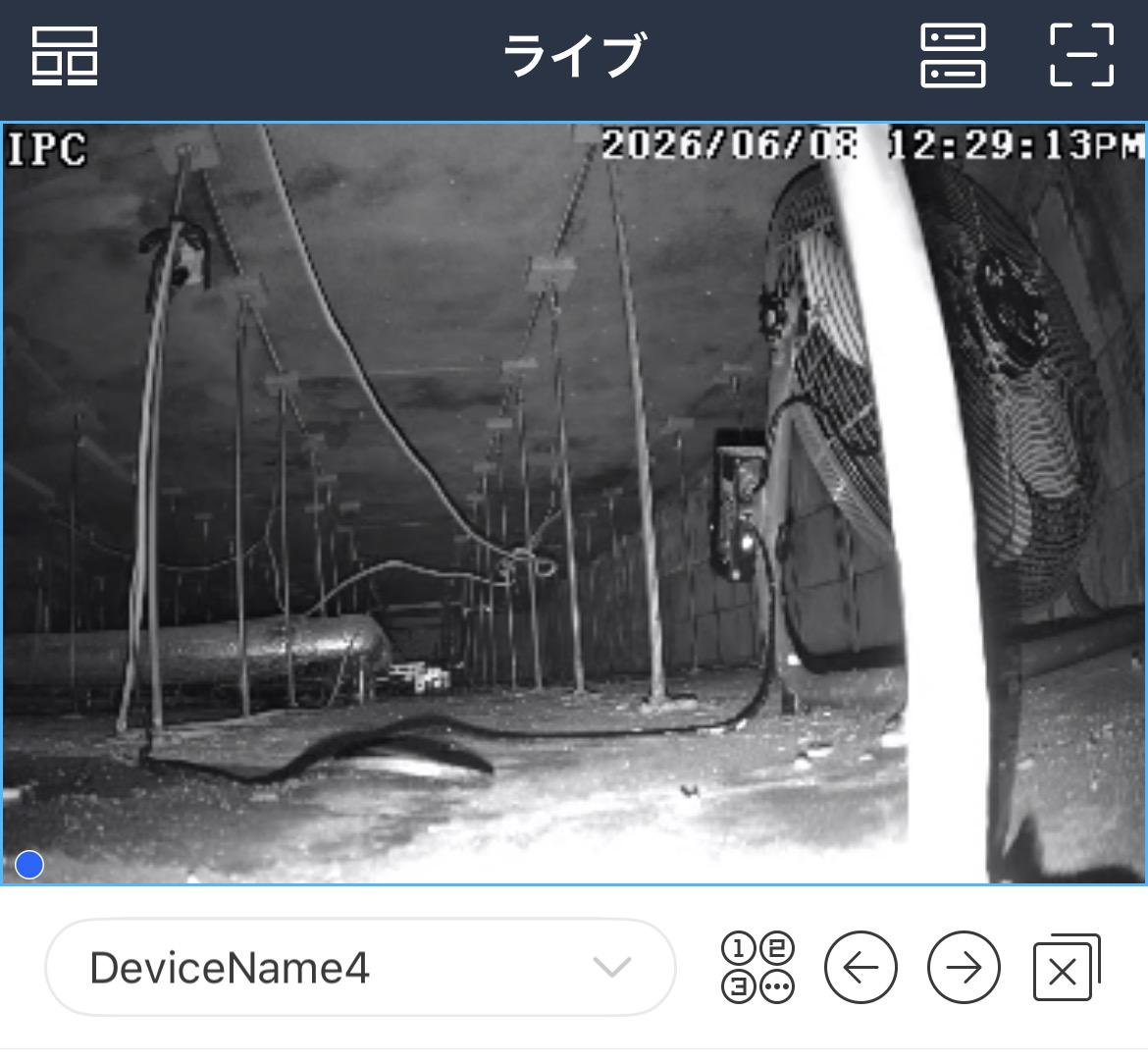 床下監視映像